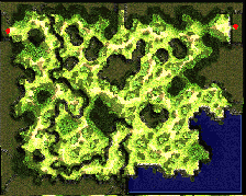 for_fild04.png